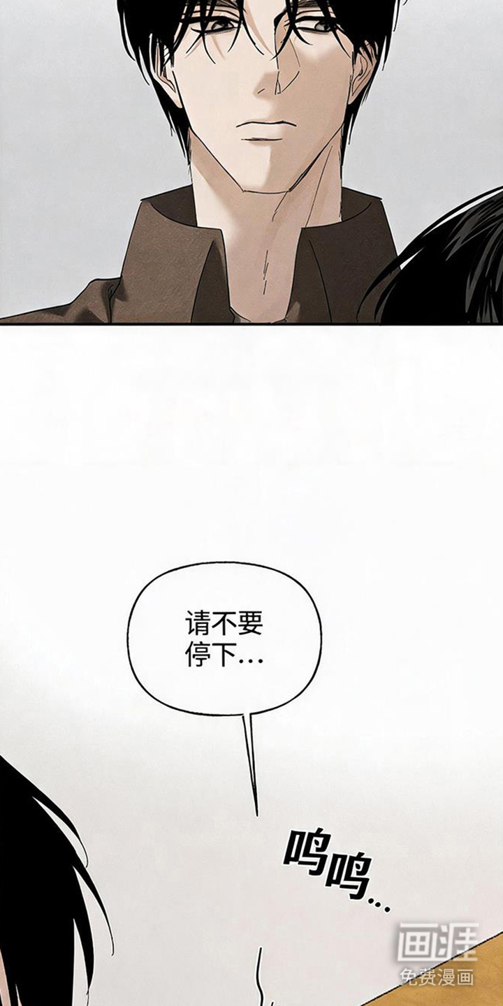 坠落的特技漫画-图13