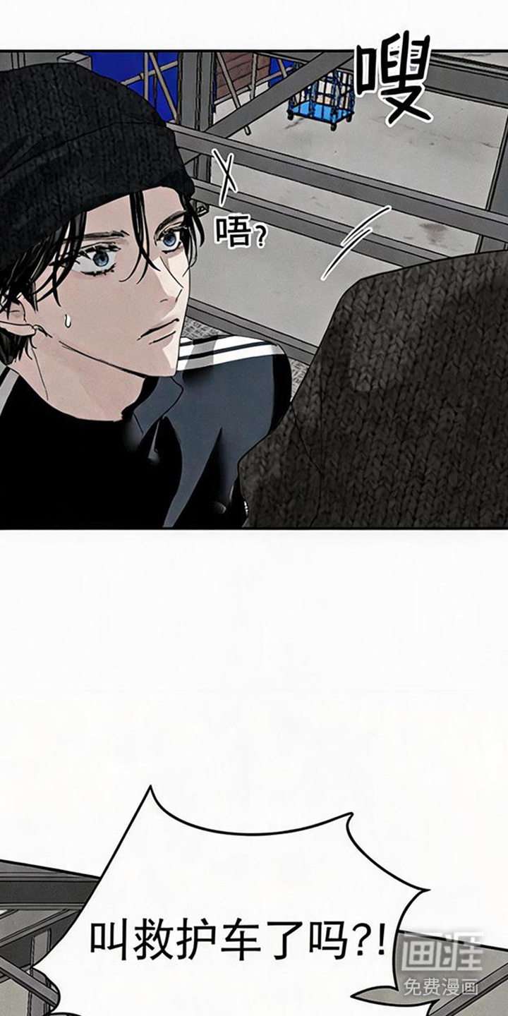坠落的特技漫画-图9