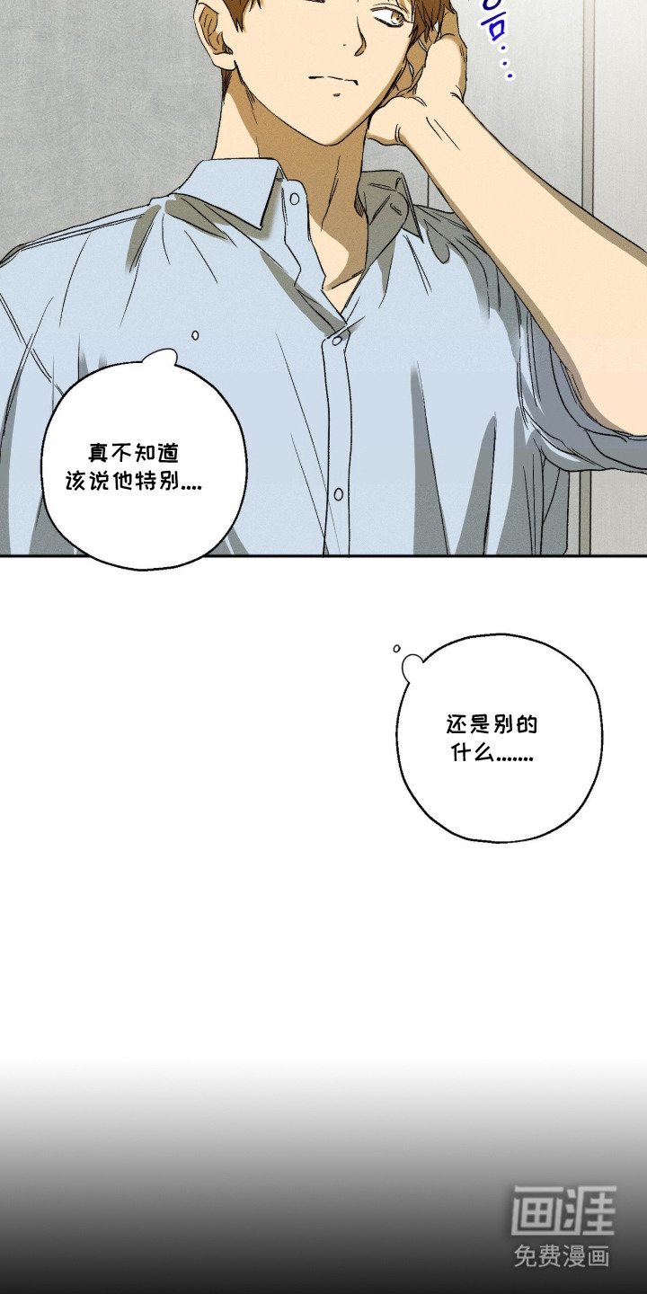 再次投向你漫画-图13