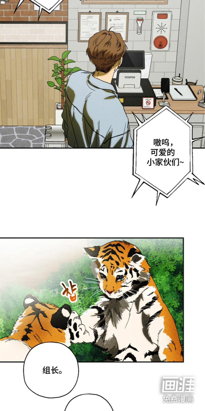 再次投向你漫画-图11