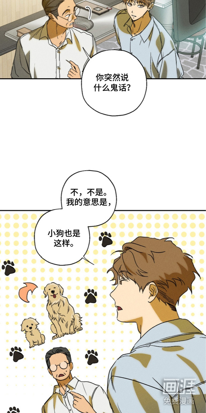 再次投向你漫画-图13