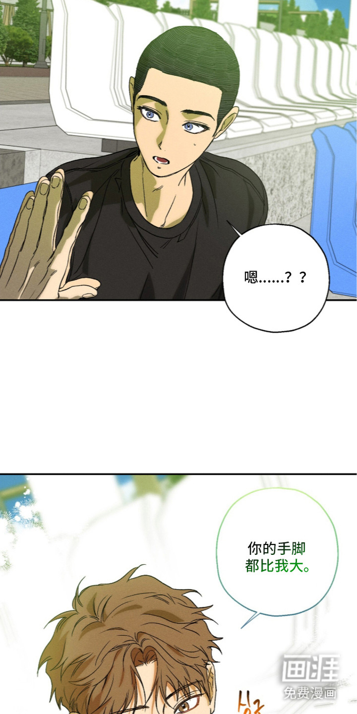 再次投向你漫画-图3