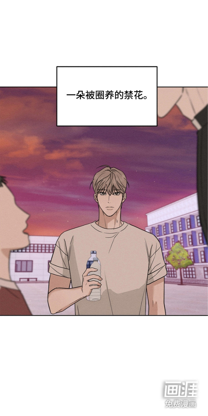 罪爱天堂漫画-图15