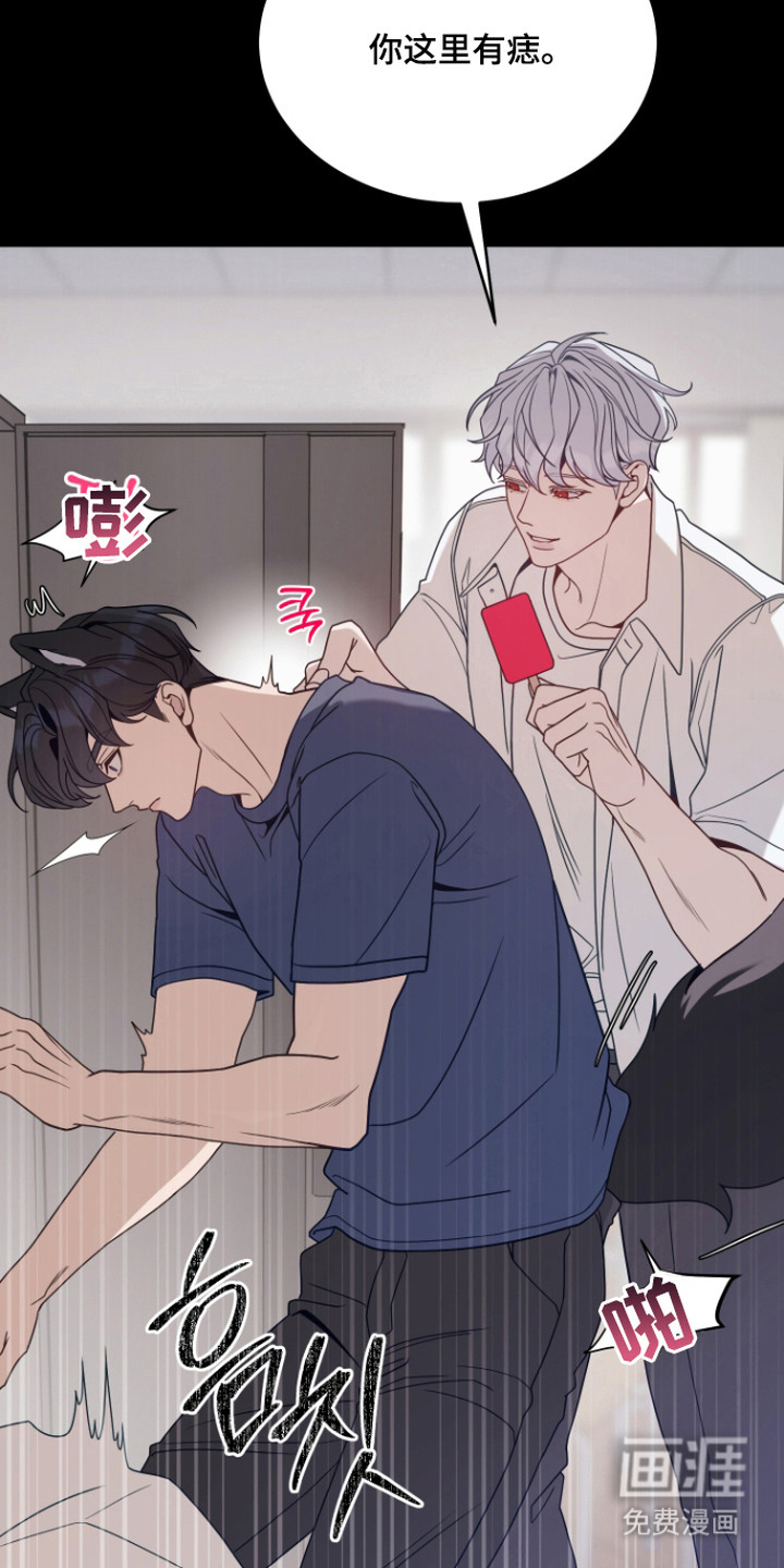 珠锁狐心漫画-图6