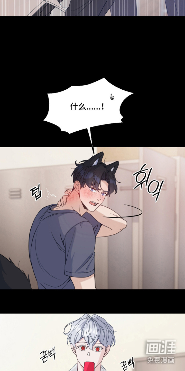 珠锁狐心漫画-图7