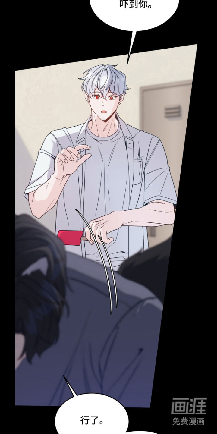 珠锁狐心漫画-图9