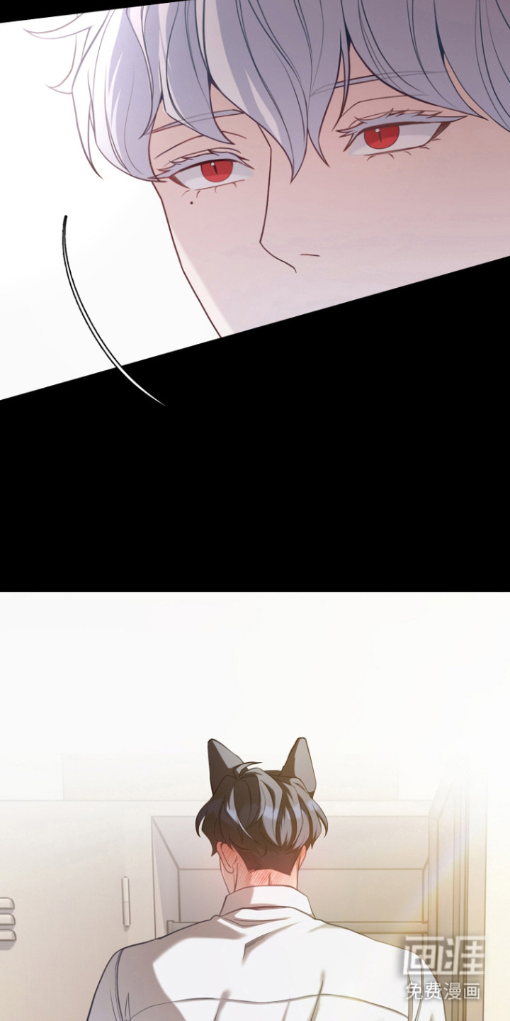 珠锁狐心漫画-图11