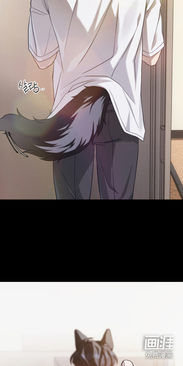 珠锁狐心漫画-图12