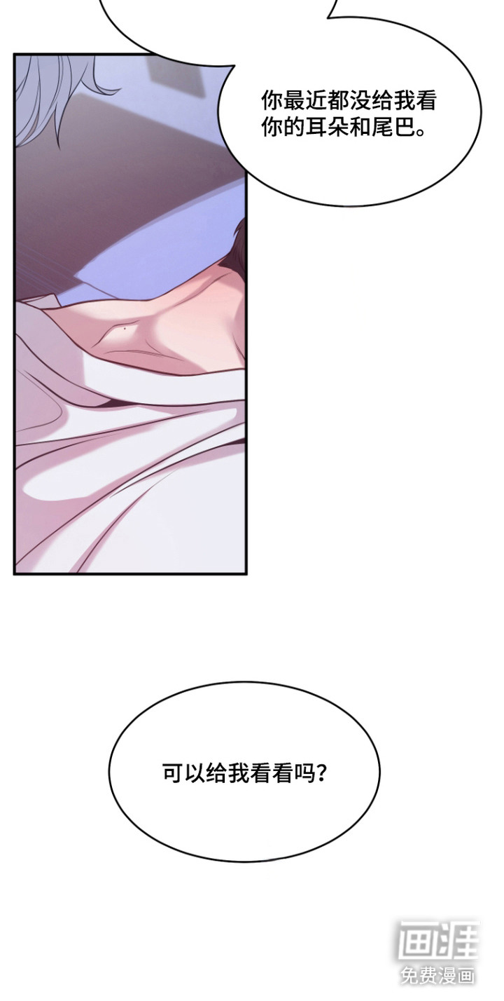 珠锁狐心漫画-图19