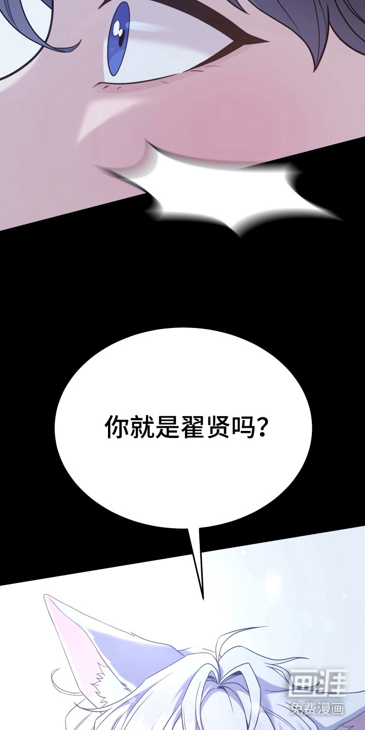 珠锁狐心漫画-图17