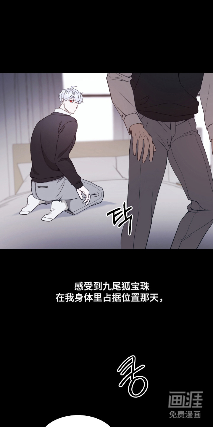 珠锁狐心漫画-图14