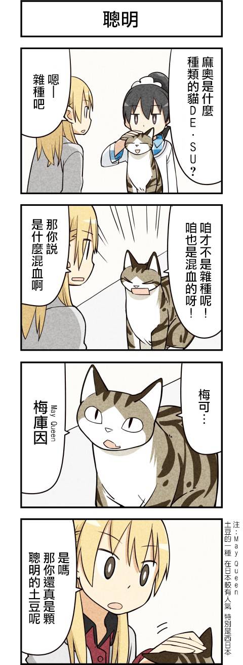 咱们乃猫是也第15话图