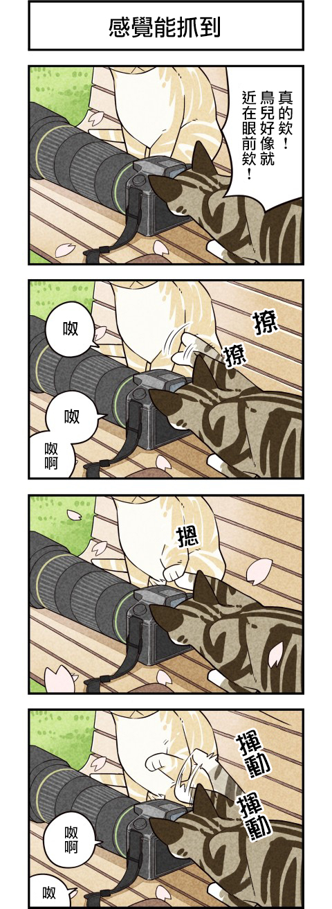 咱们乃猫是也第53话图