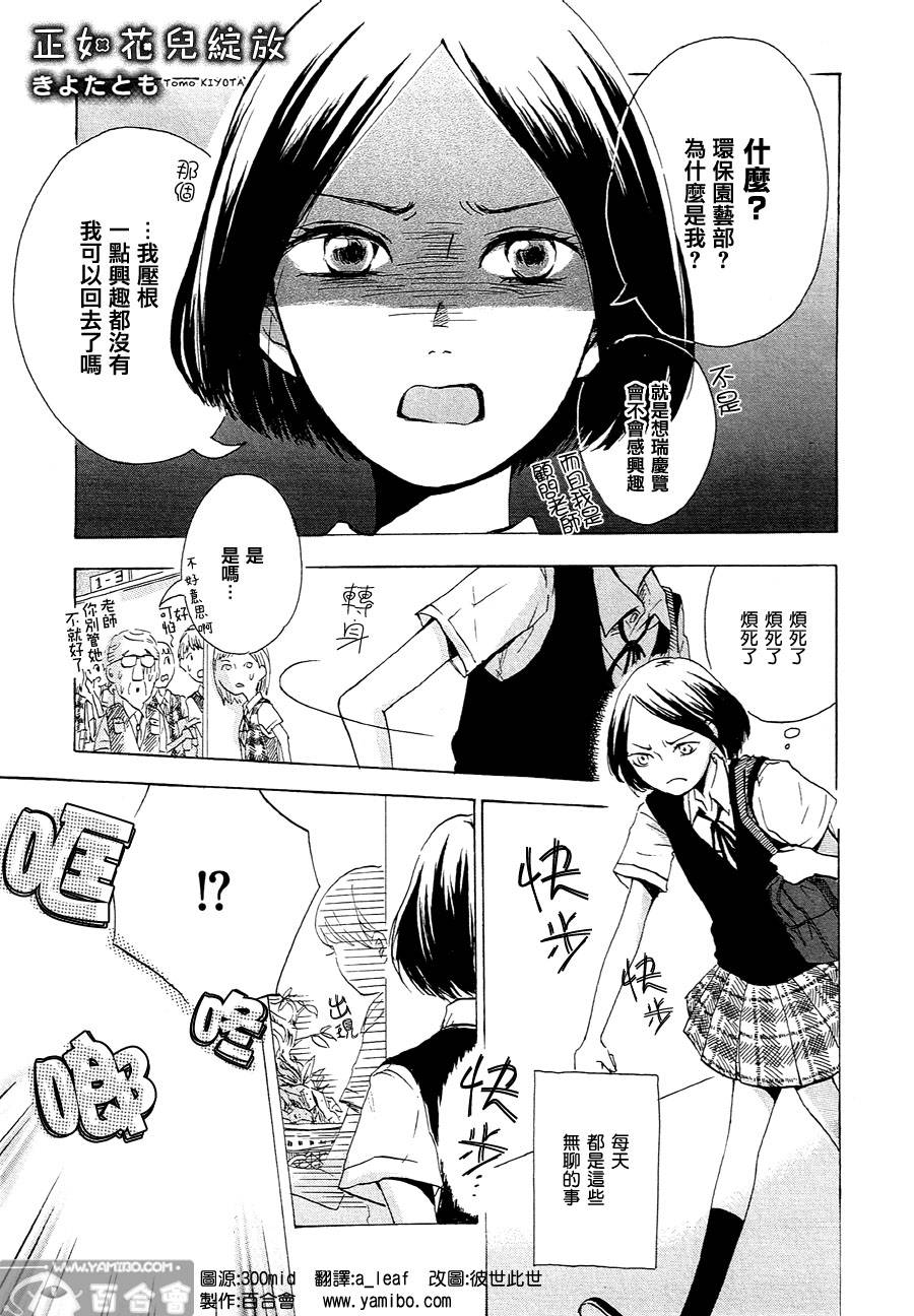 正如花儿绽放全1话图