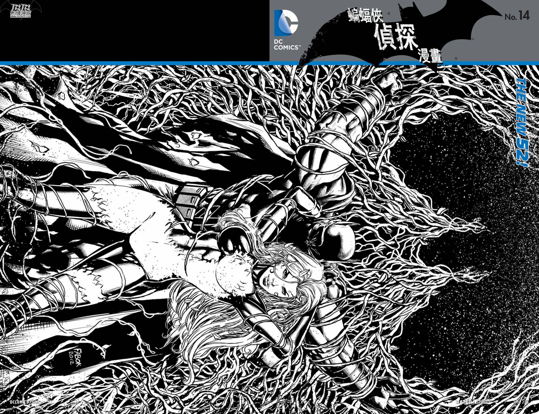 侦探漫画 蝙蝠侠 第14卷 第2页