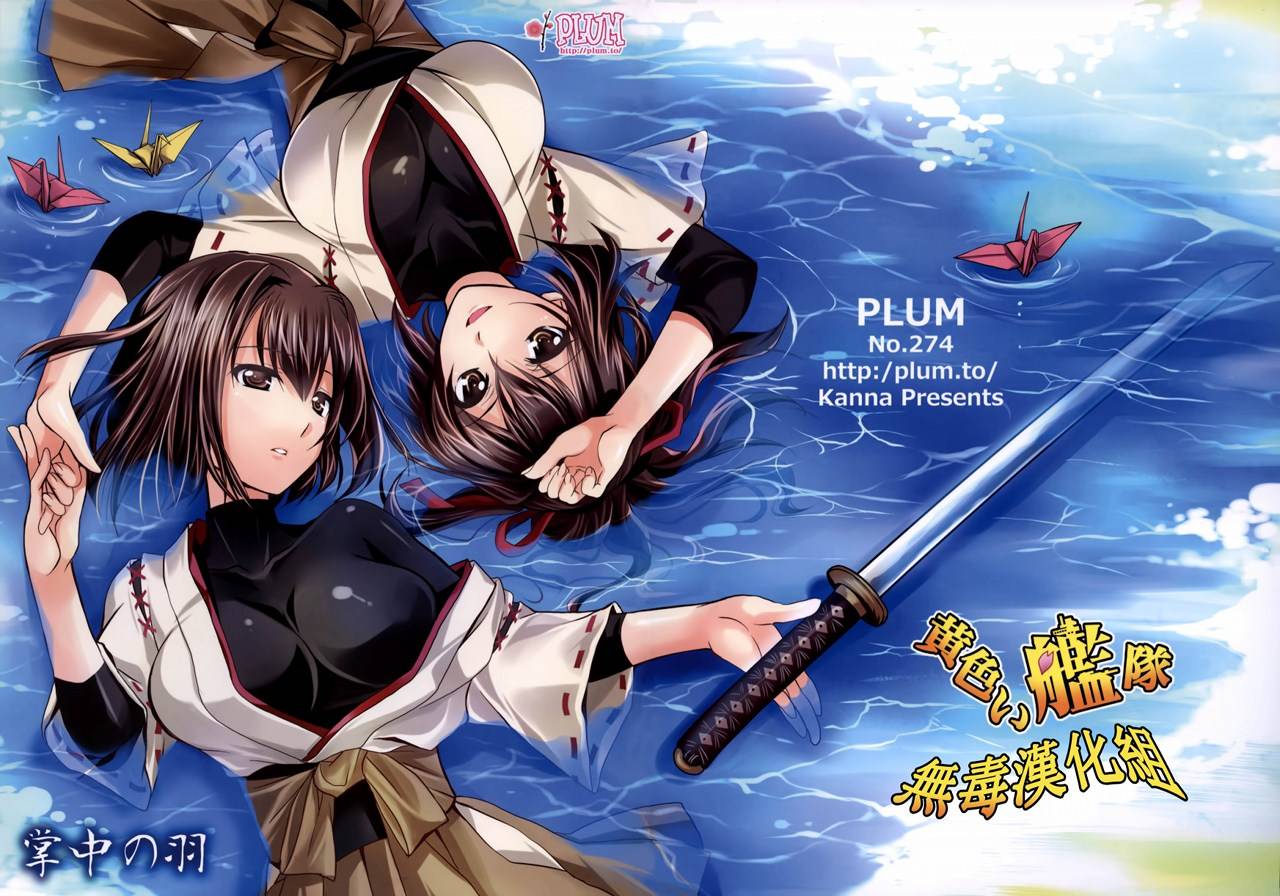 掌中之羽全1话图